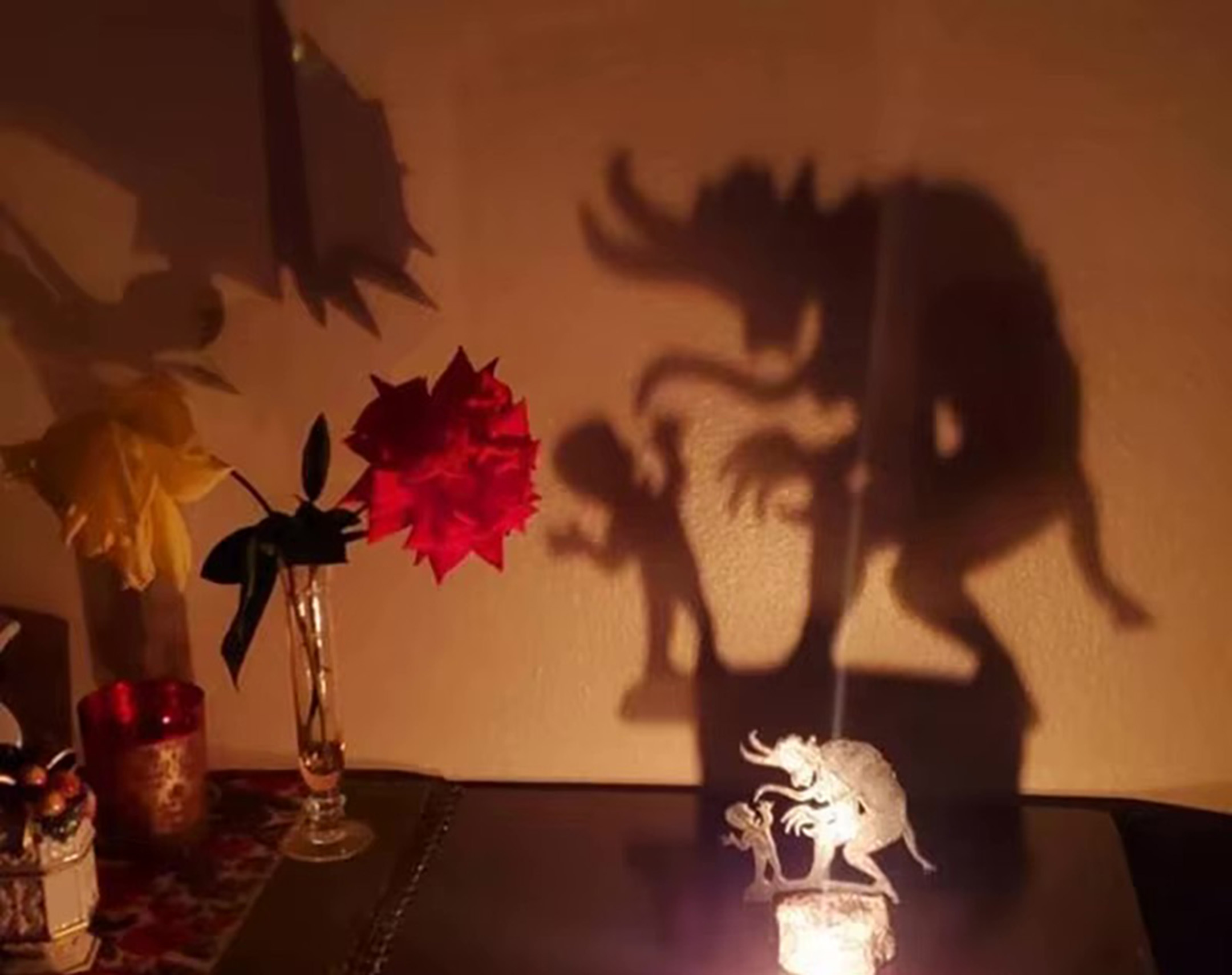 A shadow projector concept